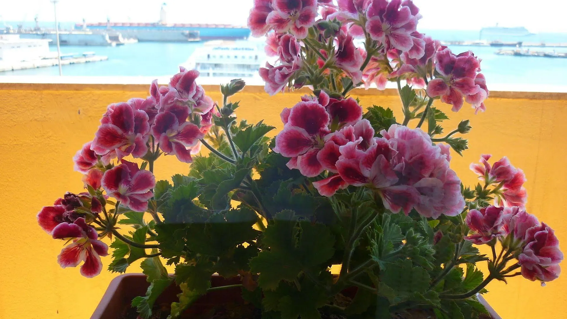*** Bed & Breakfast B&B Vista Mare Palermo Italia